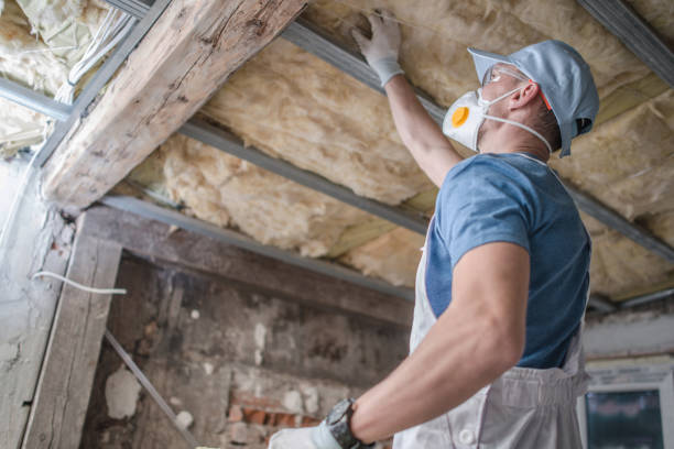 Best Insulation for Specific Applications in Knoxville, TN
